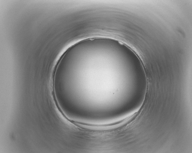 X0000116791531200912241152