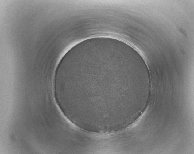 X0000116791533200912241152