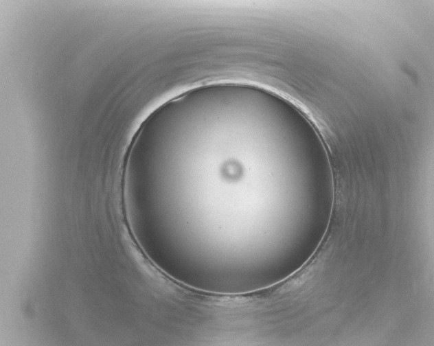 X0000116791534200912241152