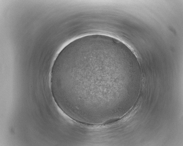 X0000116791535200912241152