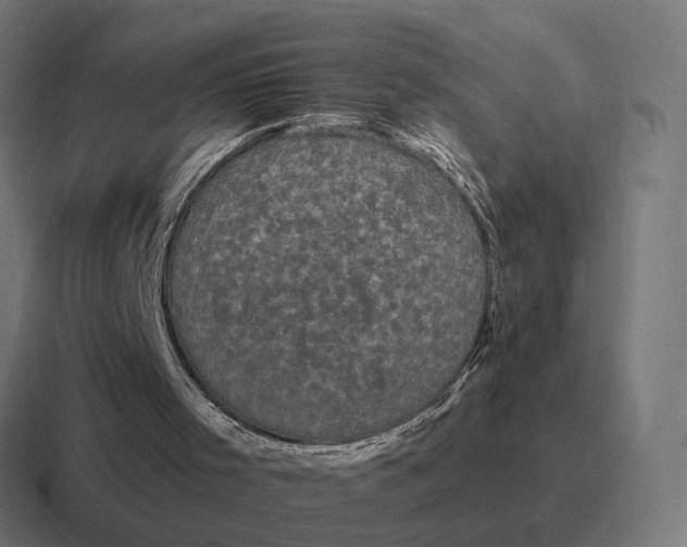 X0000116790001200912311926