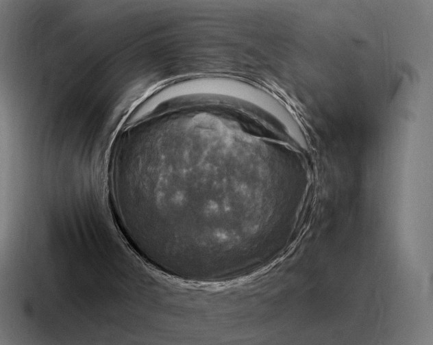 X0000116790002200912311926