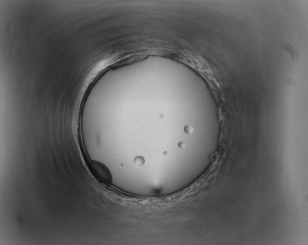 X0000116790003200912311926