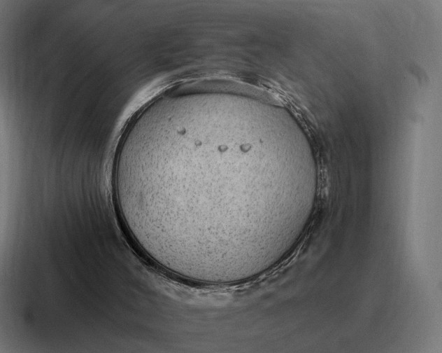 X0000116790004200912311926