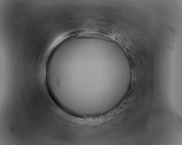 X0000116790005200912311926