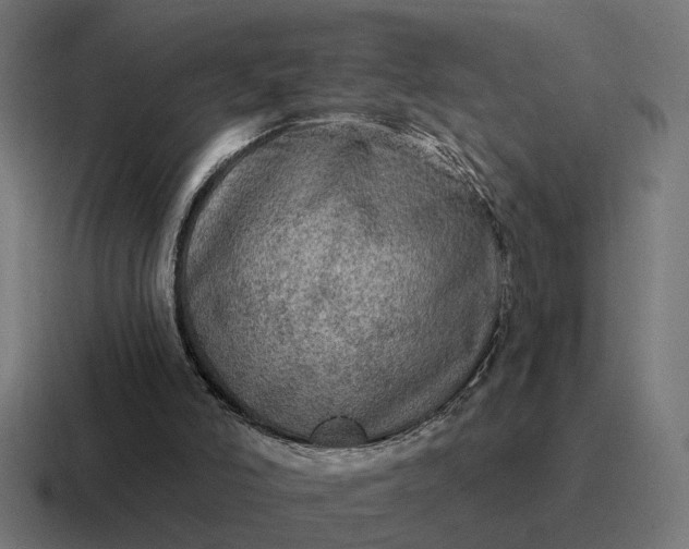 X0000116790006200912311926