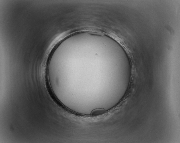 X0000116790007200912311926