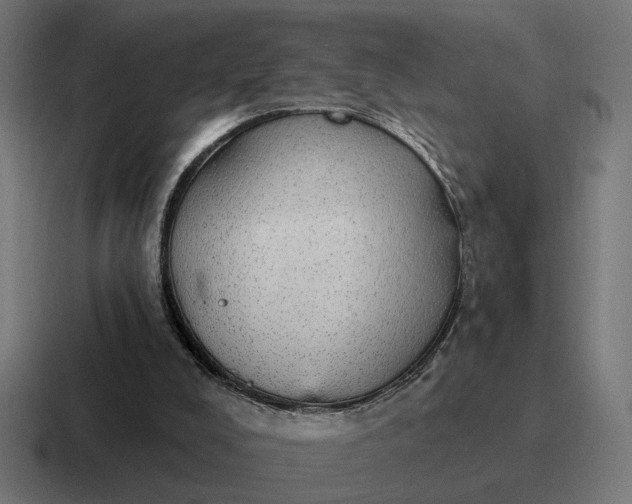 X0000116790008200912311926