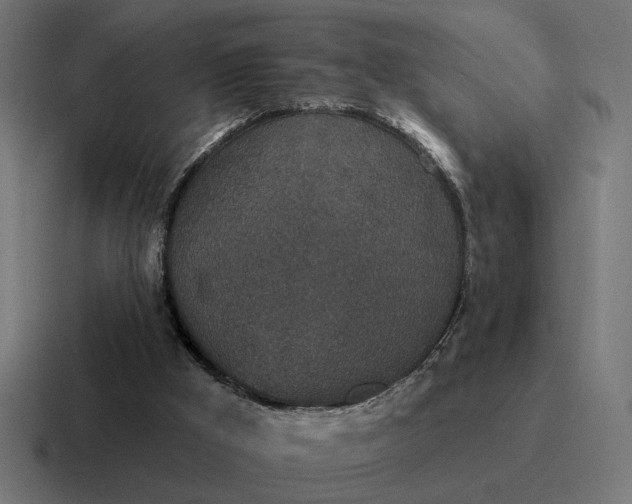 X0000116790009200912311926