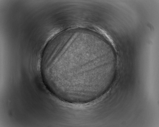 X0000116790010200912311926