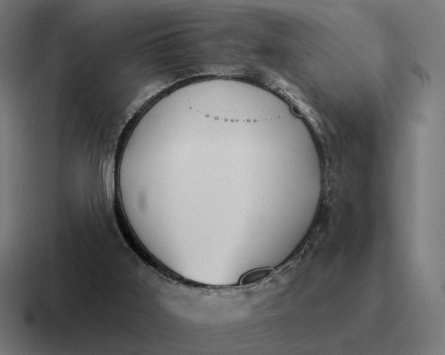 X0000116790011200912311926