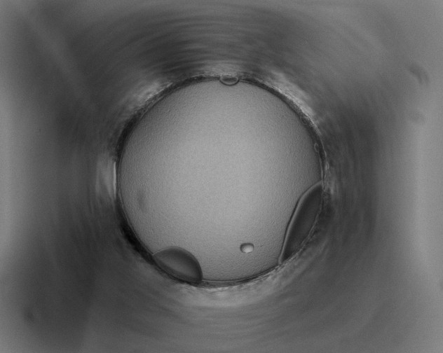 X0000116790013200912311926