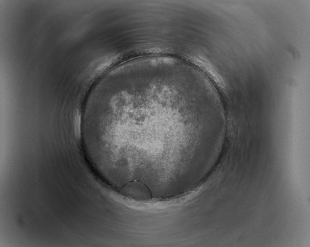 X0000116790014200912311926