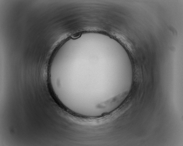 X0000116790015200912311925