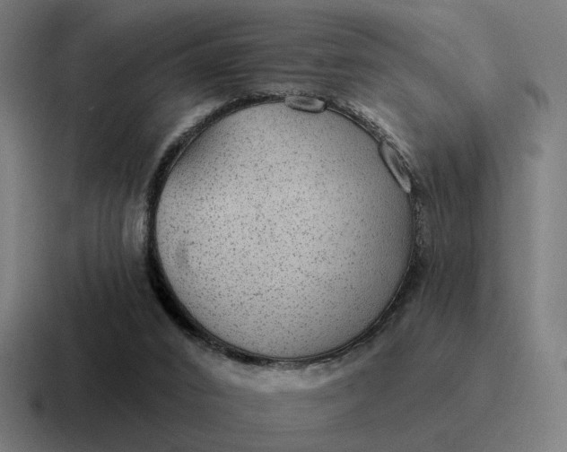 X0000116790016200912311925