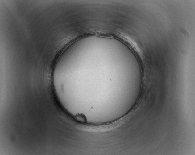 X0000116790017200912311925