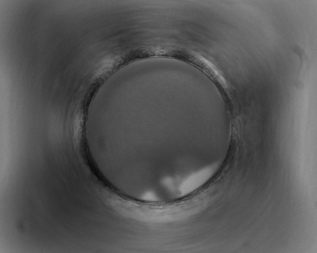 X0000116790018200912311925