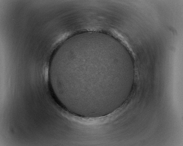 X0000116790019200912311925