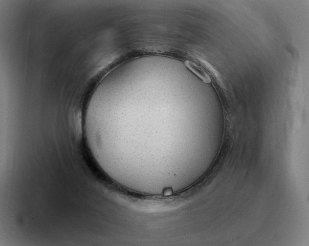 X0000116790020200912311925