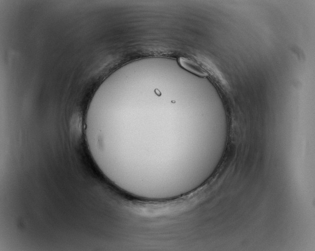 X0000116790021200912311925