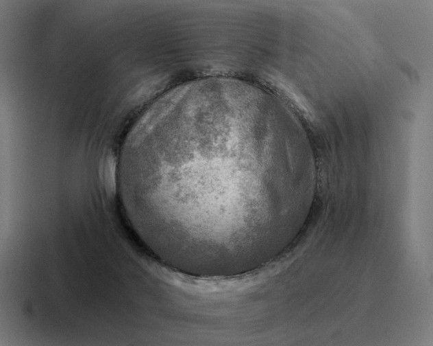 X0000116790022200912311925