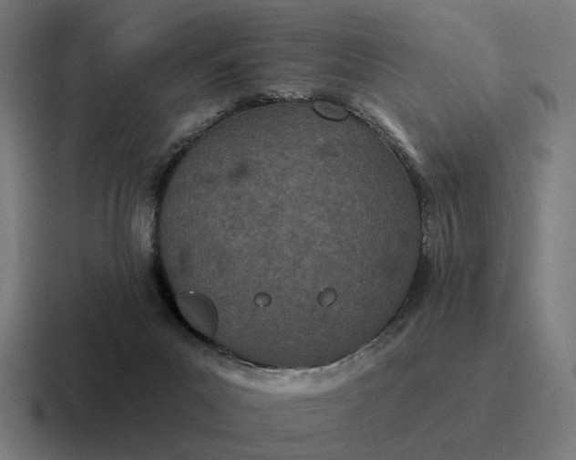 X0000116790023200912311925