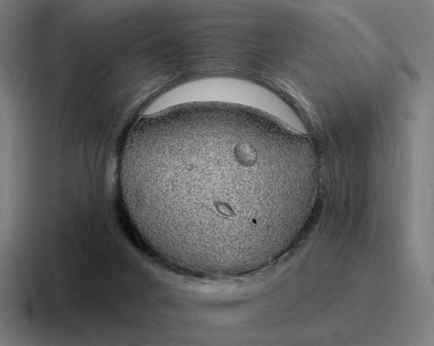 X0000116790024200912311925