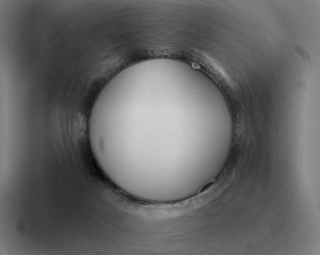 X0000116790025200912311925