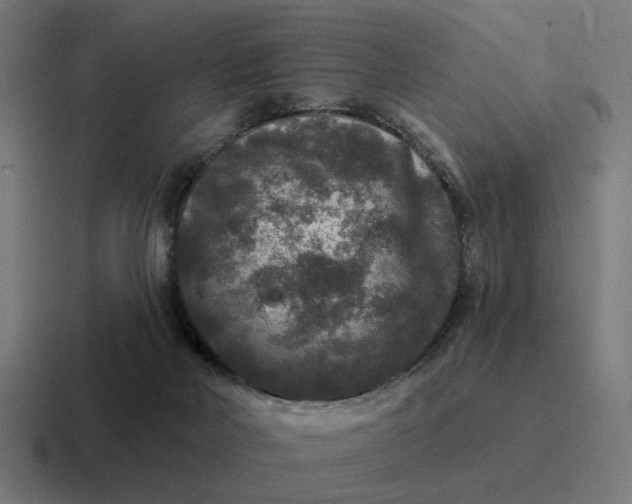 X0000116790026200912311925