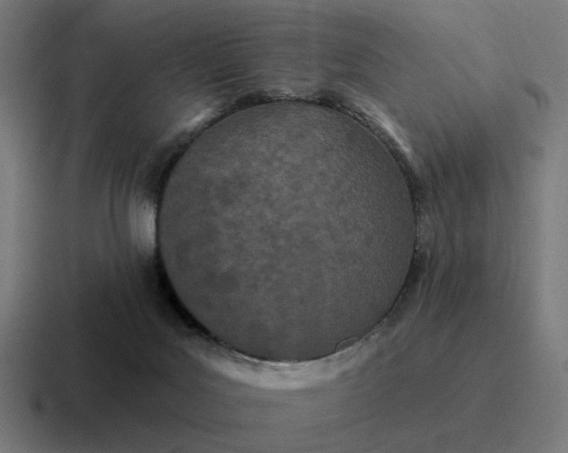 X0000116790027200912311925