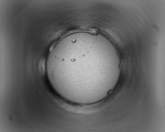 X0000116790028200912311925