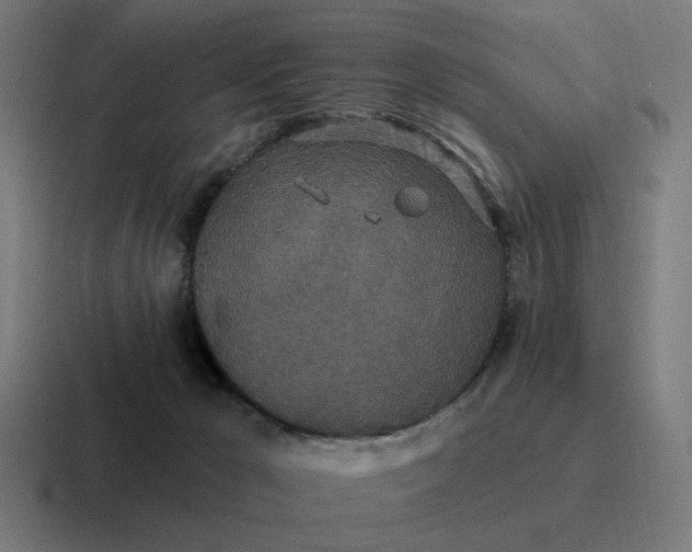 X0000116790029200912311925