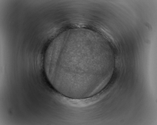 X0000116790030200912311925