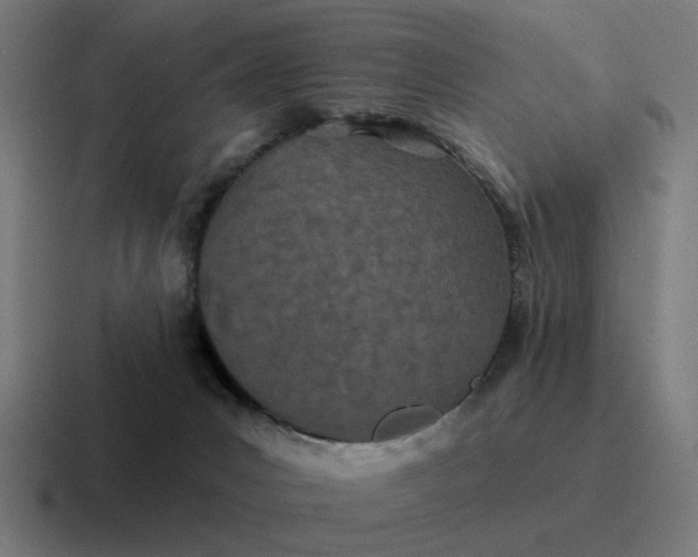 X0000116790031200912311925