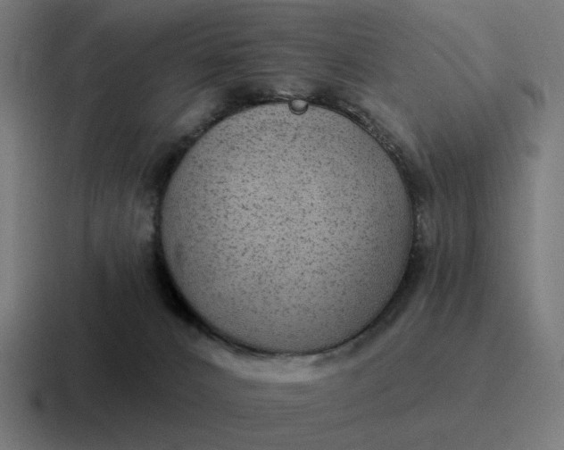 X0000116790032200912311925