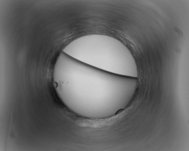 X0000116790033200912311925