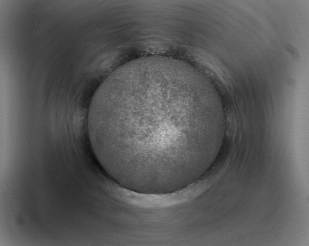 X0000116790034200912311925