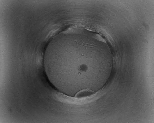 X0000116790035200912311925