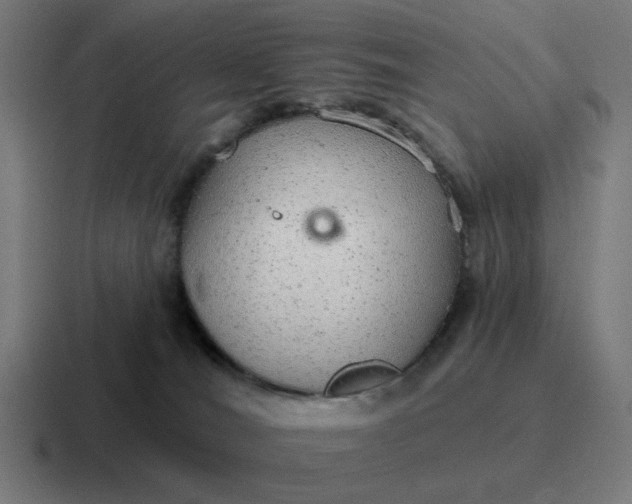 X0000116790036200912311925