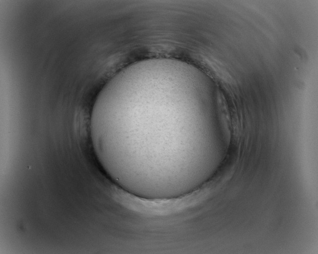 X0000116790038200912311925