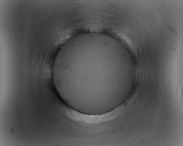 X0000116790039200912311925