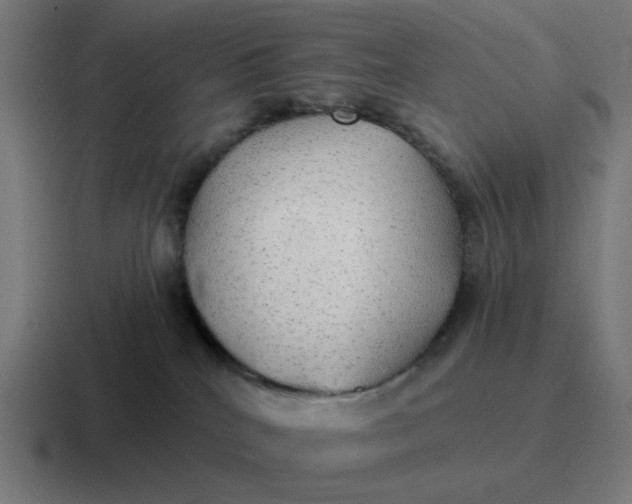 X0000116790040200912311925