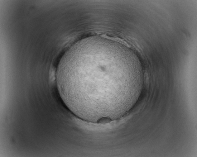 X0000116790042200912311925