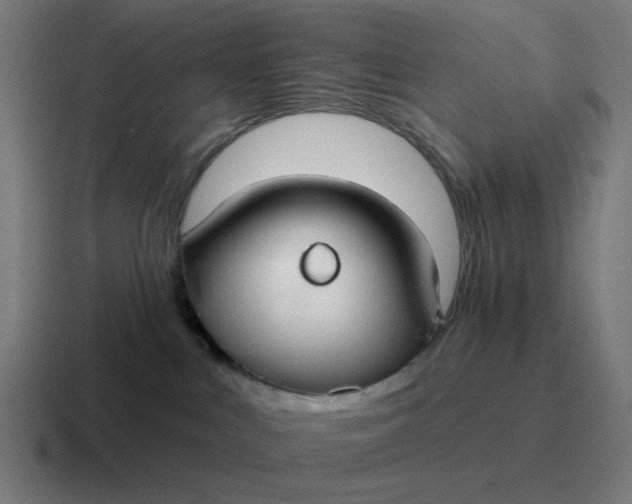 X0000116790043200912311925