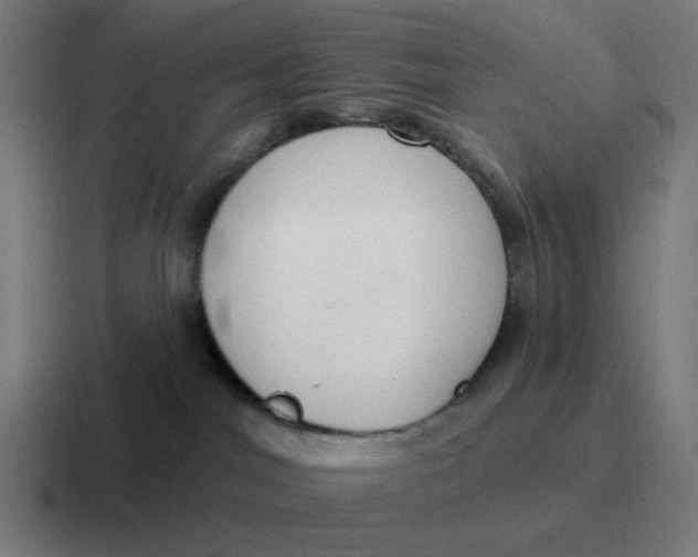 X0000116790044200912311925