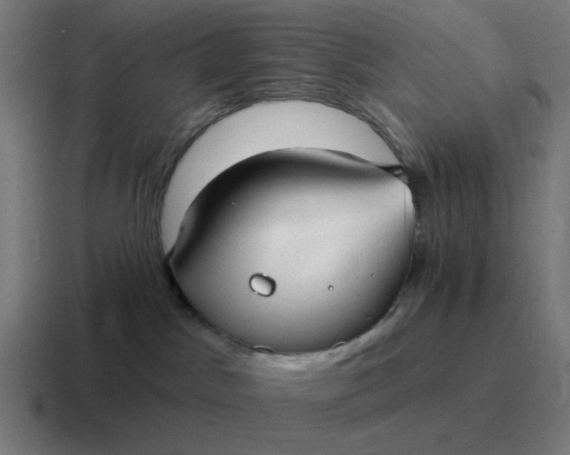 X0000116790045200912311925