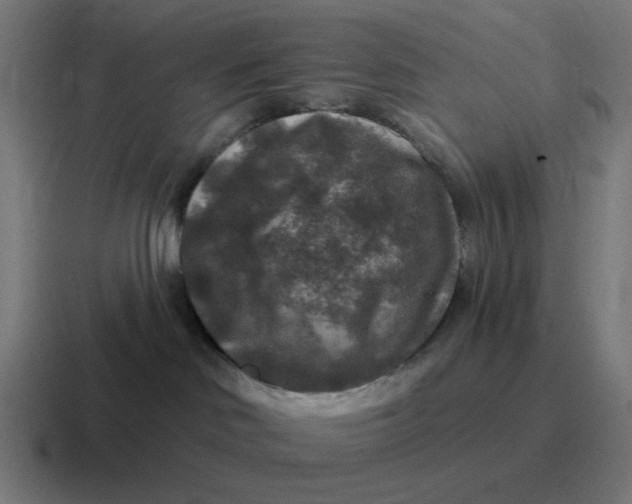 X0000116790046200912311925