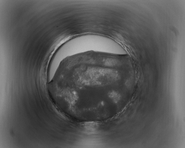 X0000116790050200912311924