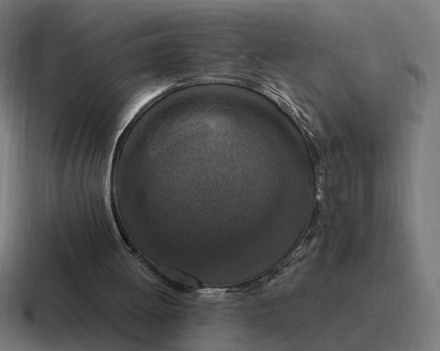 X0000116790052200912311925