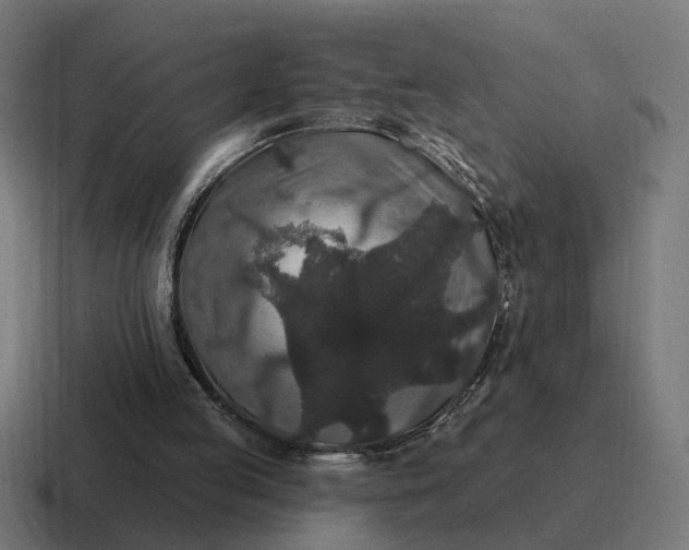 X0000116790053200912311925